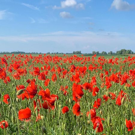 Ferienwohnungen Klein Kapelle Gingst エクステリア 写真