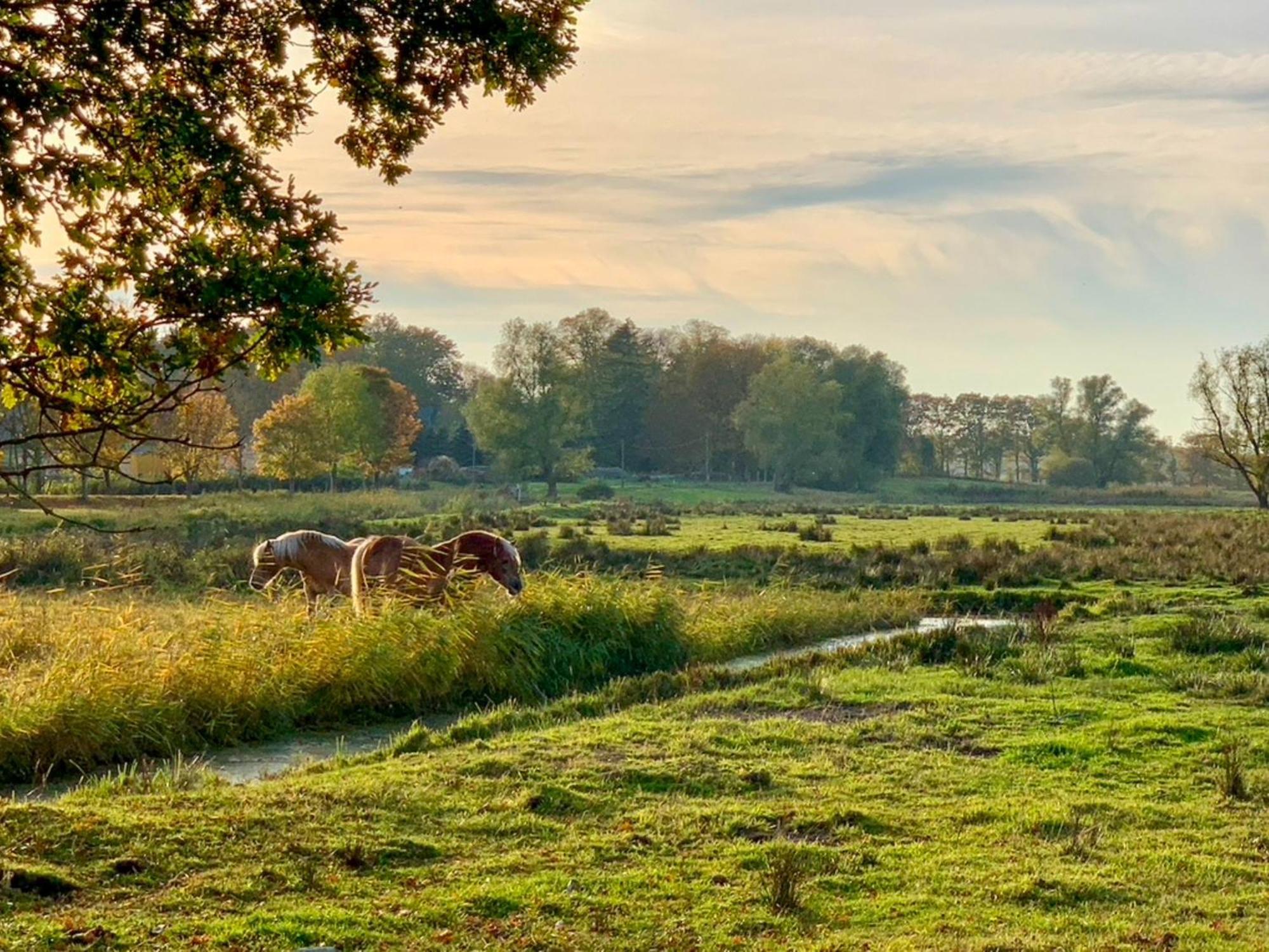 Ferienwohnungen Klein Kapelle Gingst エクステリア 写真