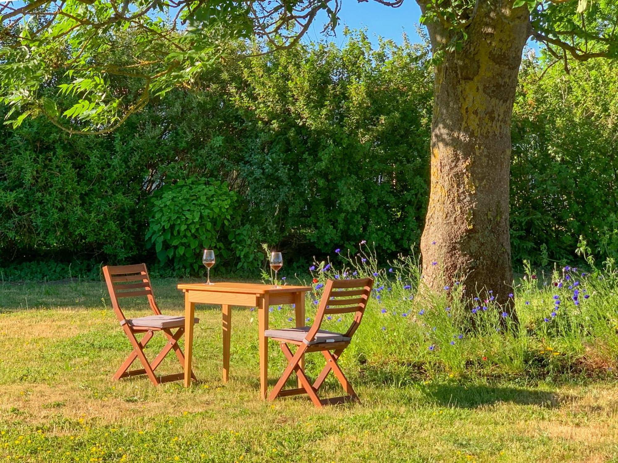 Ferienwohnungen Klein Kapelle Gingst エクステリア 写真